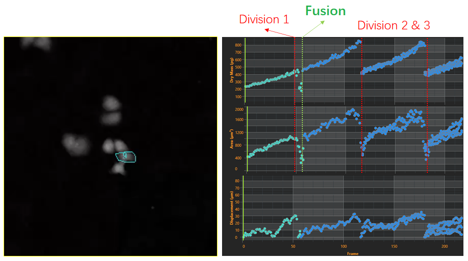 2、細胞譜系研究-2.png